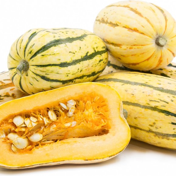 Delicata Squash Seeds - Picture 4 of 4